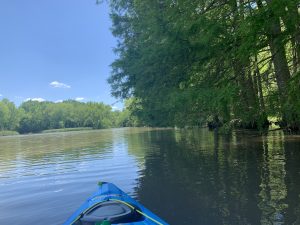 kayak on creek