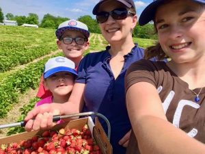 family gathering strawberries