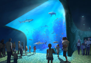 STL_Shark_Tank_Aquarium_Rendering