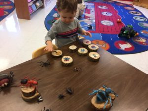 St_Johns_Lutheran_Preschool_Insects_Game